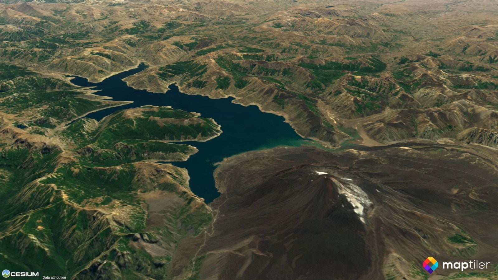 Free cesium tiles