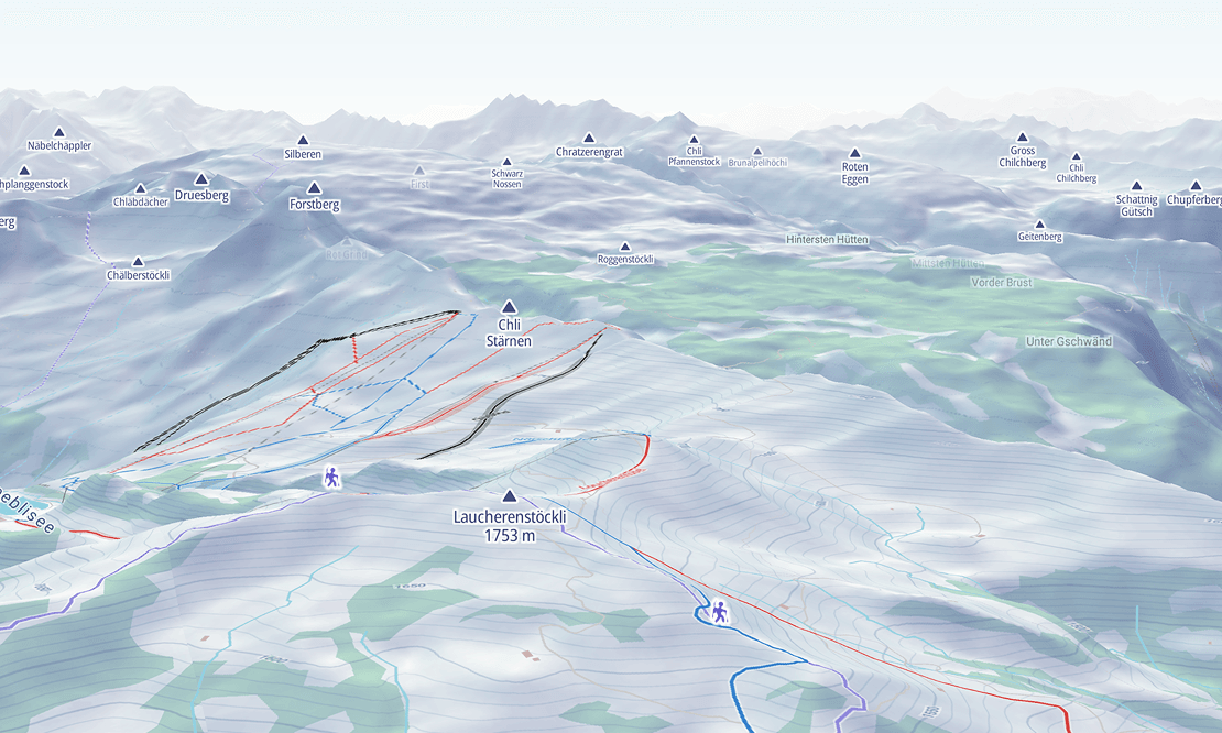 MapTiler image high-precision-3d-terrain-winter-outdoors.png