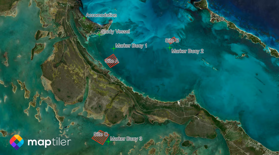 QGIS with detailed satellite map of the entire world