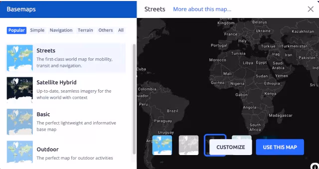 Step 3 choose light/dark variant of map on MapTiler Cloud