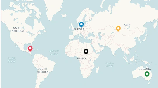 static maps api with pins