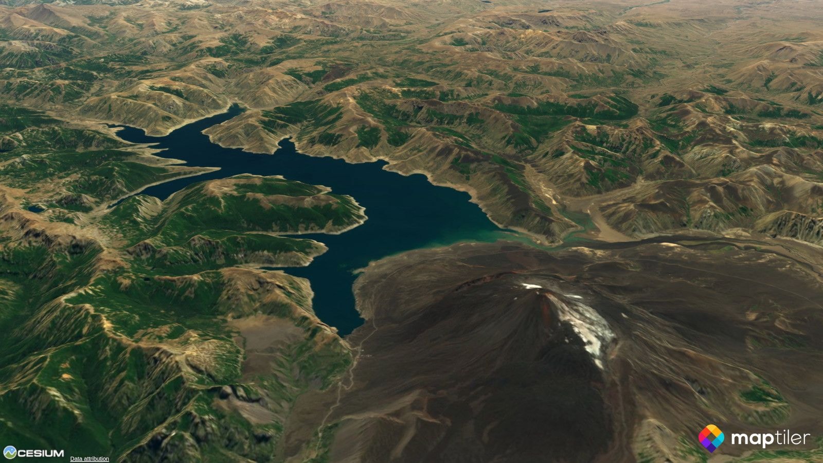 Free cesium tiles