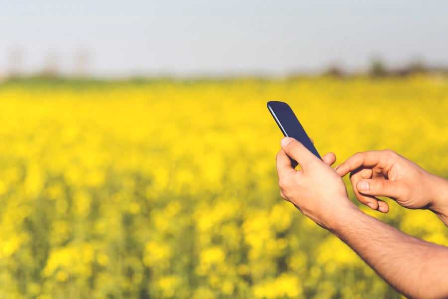 Smartphone above field