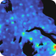 Visualization